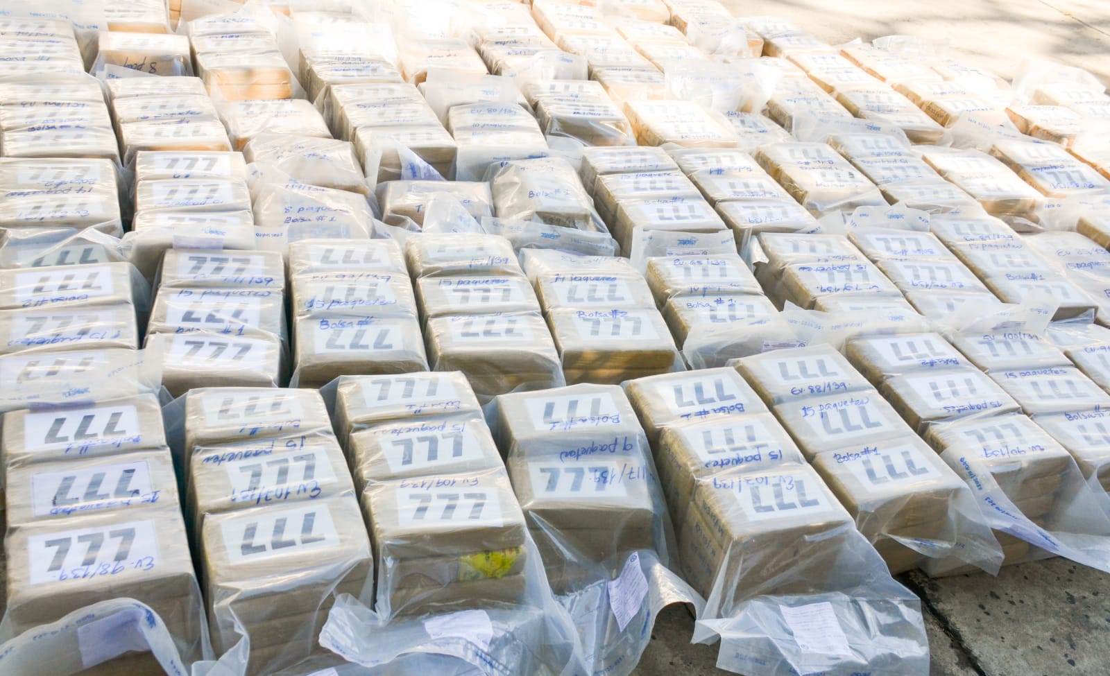 Destruyen el mayor cargamento de cocaína incautados a estructuras del narcotráfico