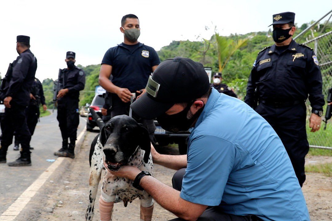 Fallece agente canino Furst