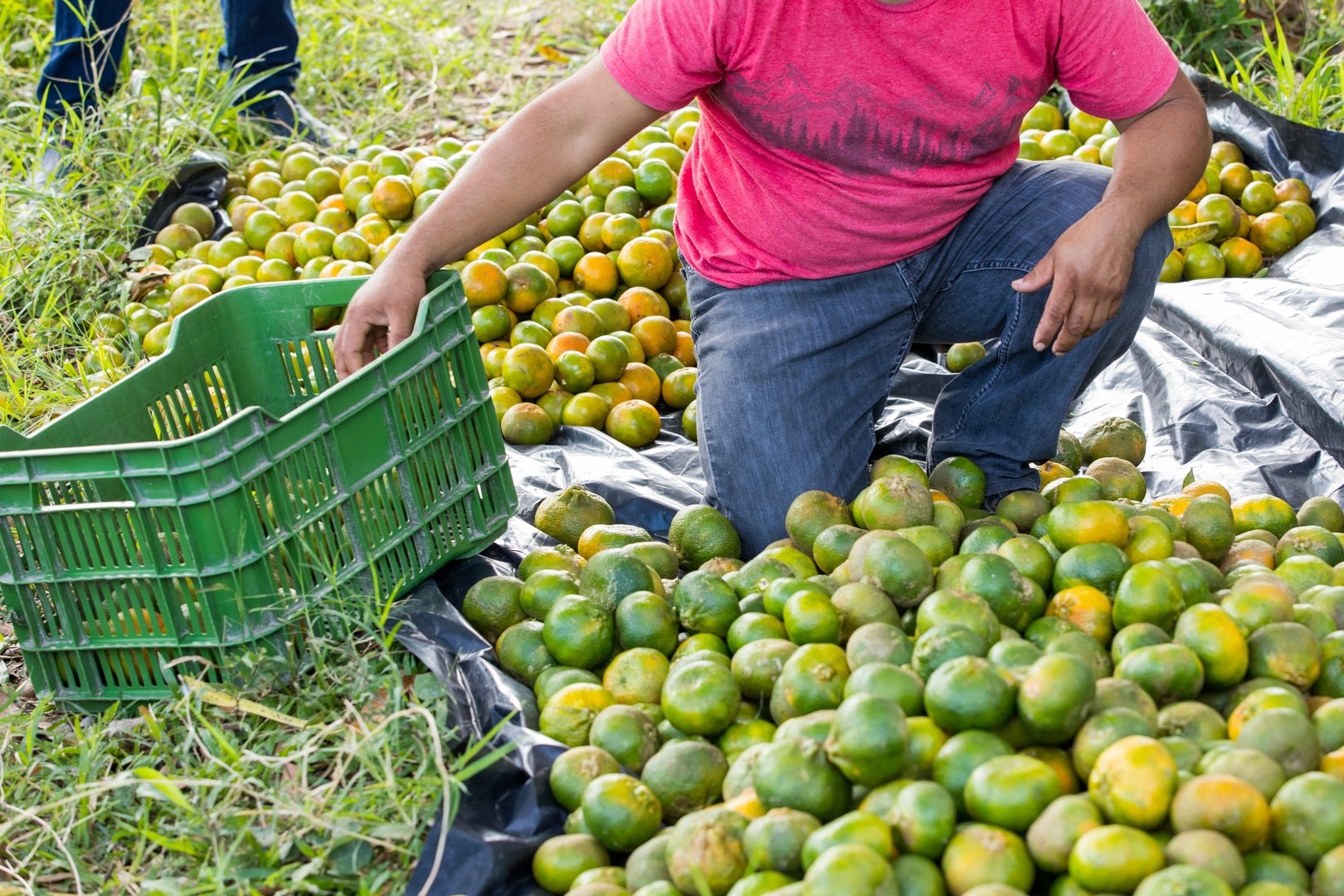 Gente del campo ahora trabaja con seguridad