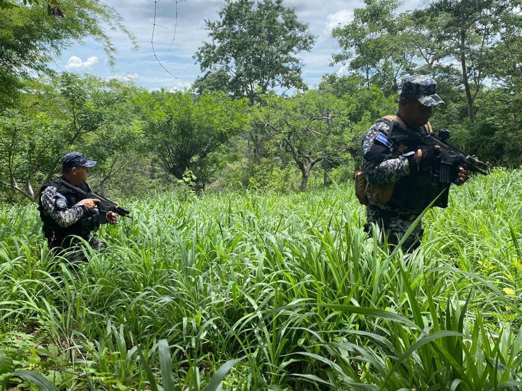 Fuerzas del orden tras terroristas ocultos en territorio nacional