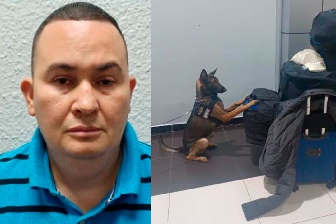 Agentes caninos detectan cocaína oculta en frascos de leche