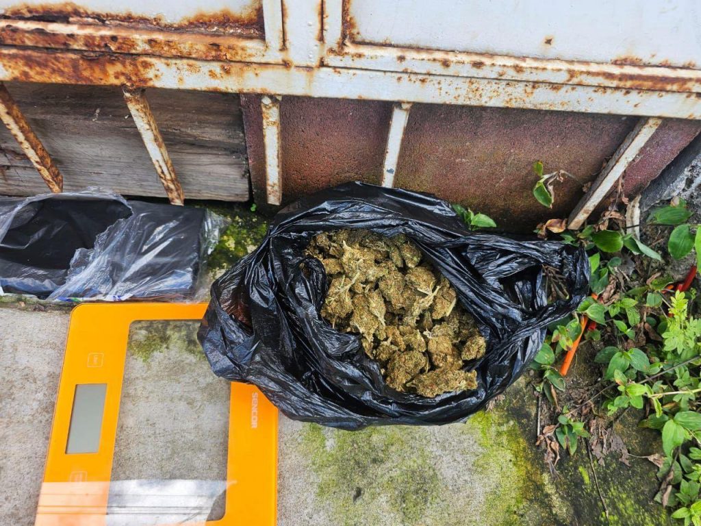 Capturan en flagrancia a sujeto con varias porciones de marihuana