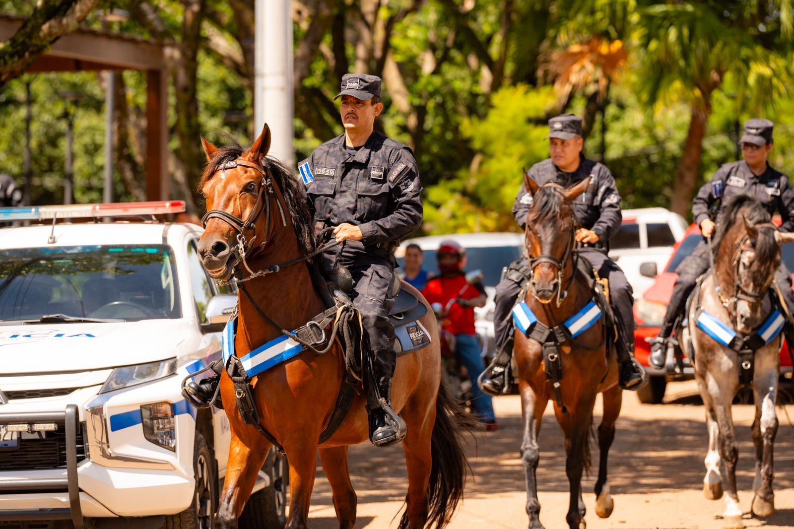 Ministro de Seguridad reconoce el trabajo de oficiales K9 y equinos en el Día Mundial de los Animales