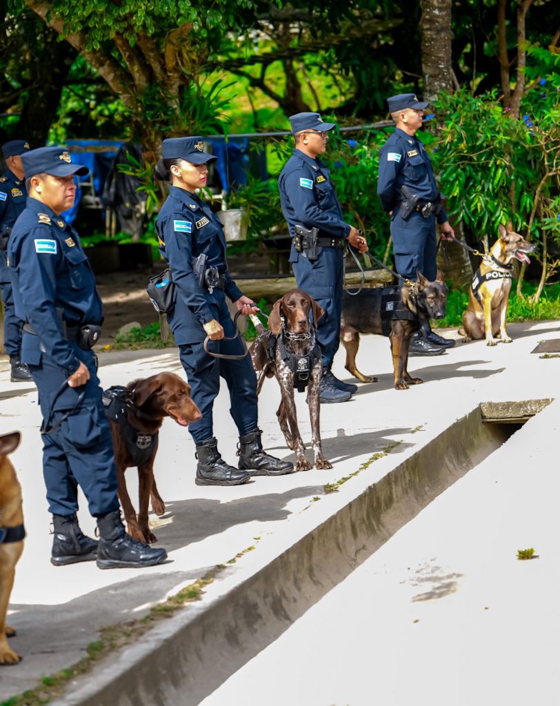 Reconocen labor antidrogas de agentes caninos y sus guías