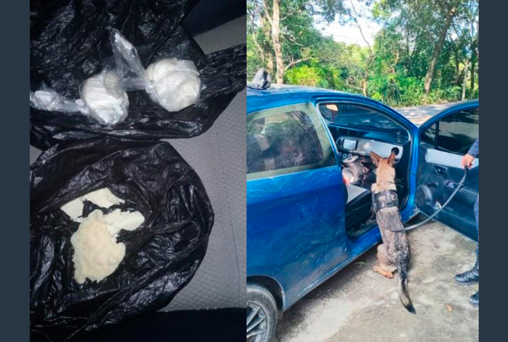 Agente K9 Capri detecta a dos guatemaltecos que transportaban cocaína